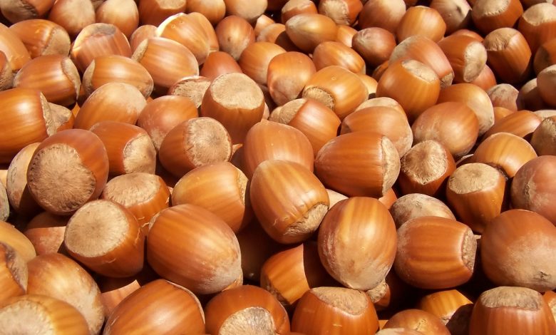 فندق