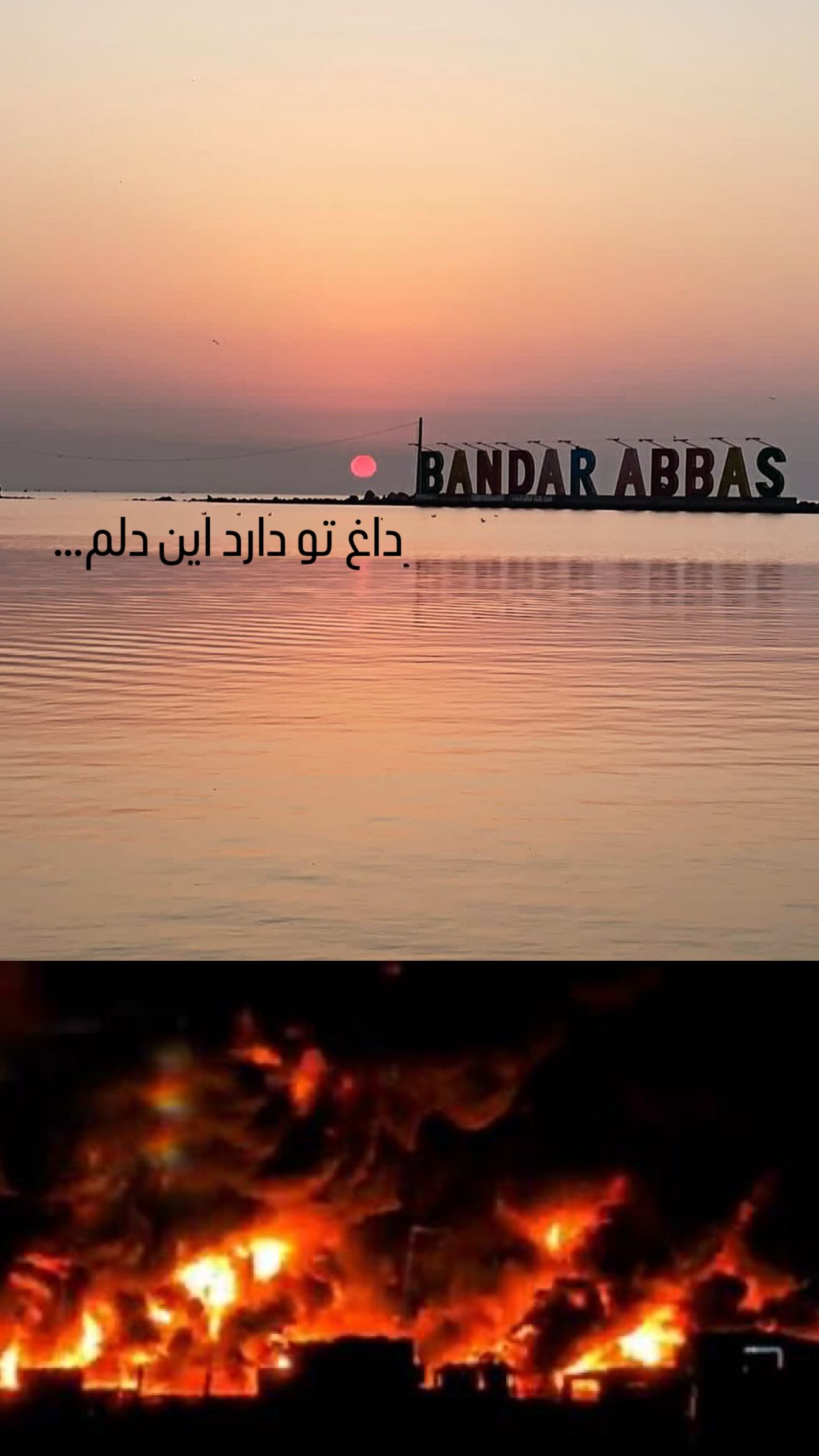 الناز شاکردوست