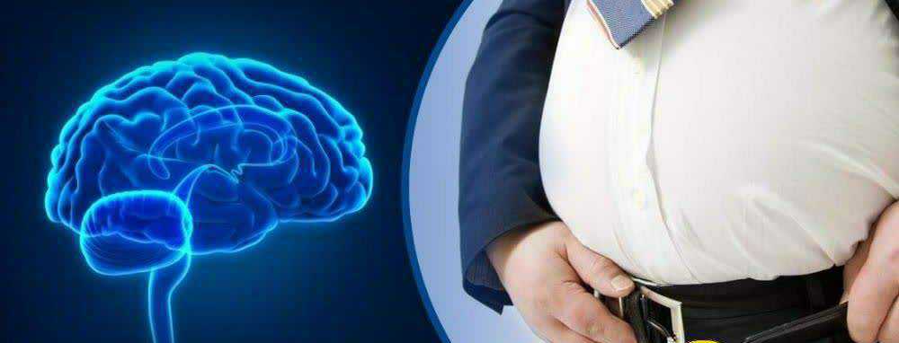 تاثیر چاقی بر فعالیت مغز