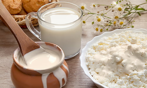 کشک صنعتی