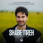 دانلود آهنگ جدید مسعود کیانی به نام «شب تیره» + فیلم