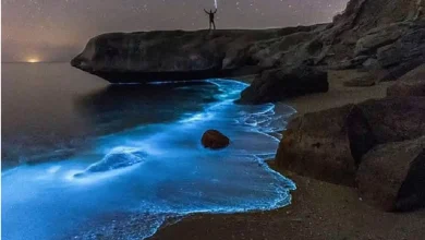 سواحل پارسیان هرمزگان