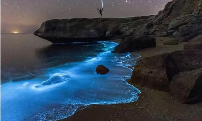 سواحل پارسیان هرمزگان