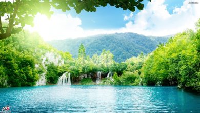 صداهای طبیعی