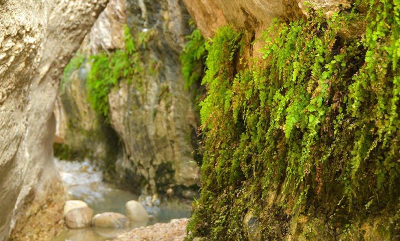 زیبایی خیره کننده تنگه چورستان هرمزگان + فیلم