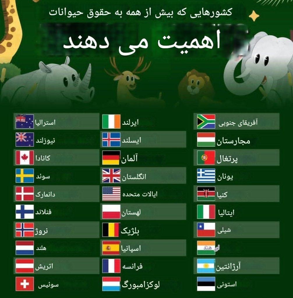 حقوق حیوانات
