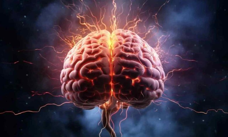 قدرت محاسباتی مغز