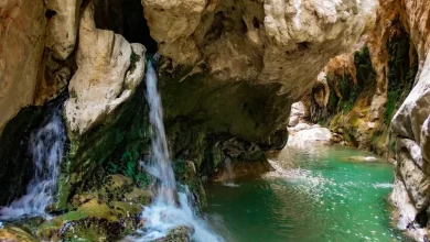 چشمه مرتضی علی پدیده ای نادر در طبس