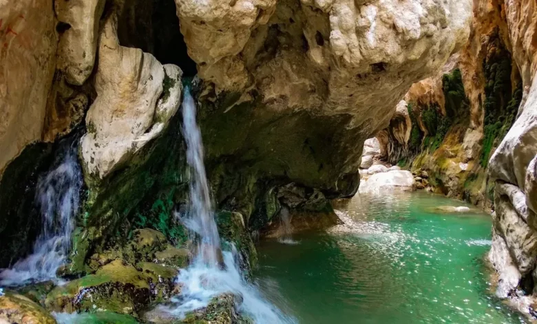 چشمه مرتضی علی پدیده ای نادر در طبس