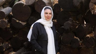 استوری غم انگیز شهره سلطانی برای ایران ویرال شد + عکس