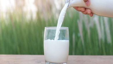فواید شگفت‌انگیز نوشیدن شیر برای پوست؛ راز زیبایی طبیعی