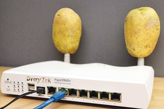 سیبزمینی در کنار مودم Wi-Fi