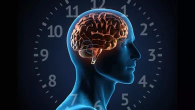 ساعت های بیولوژیکی بدن
