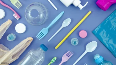 ریز پلاستیک‌‌ها به کدام قسمت بدن آسیب وارد می کنند؟