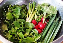 سه ترفند کاربردی و مهم برای تازه نگهداشتن سبزی + فیلم