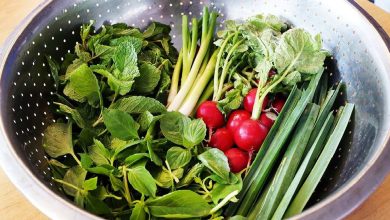 سه ترفند کاربردی و مهم برای تازه نگهداشتن سبزی + فیلم