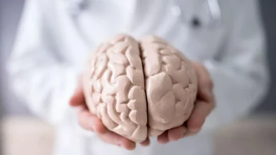پیری مغز