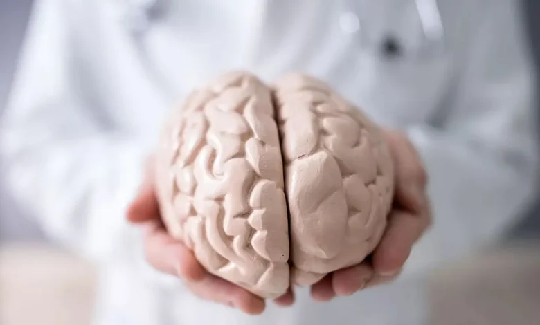 پیری مغز