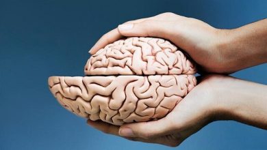از فراموشی تا تمرکز بالا؛ این نکات مغزتان را نجات می‌دهند