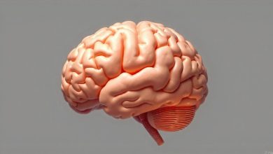 آلزایمر را در سه دقیقه شکار کنید؛ روش جدید پزشکان حیرت‌انگیز است
