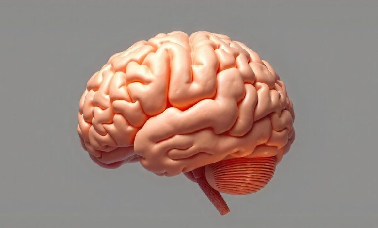 آلزایمر را در سه دقیقه شکار کنید؛ روش جدید پزشکان حیرت‌انگیز است