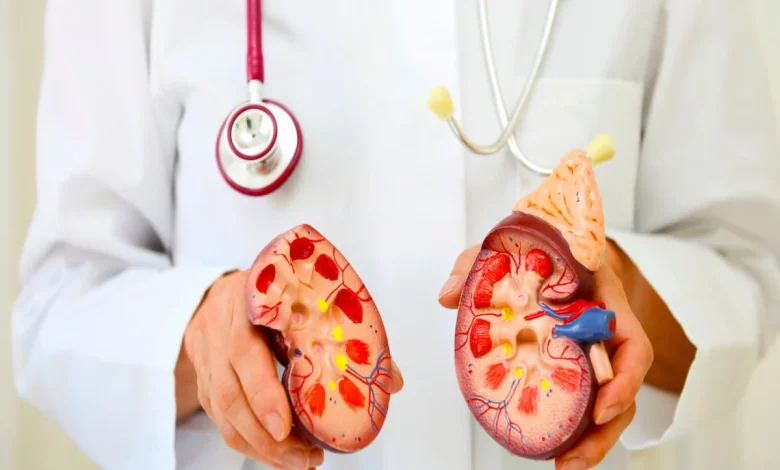 آیا مشروبات الکلی به دفع سنگ کلیه کمک میکنند؟