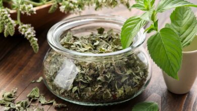 نعناع خشک خانگی: راهنمای سریع و آسان برای حفظ عطر و رنگ!