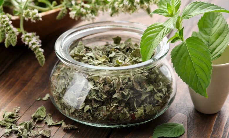 نعناع خشک خانگی: راهنمای سریع و آسان برای حفظ عطر و رنگ!