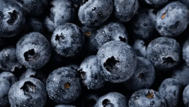 راز طول عمر در بشقاب شماست؛ این ۱۰ خوراکی را فراموش نکنید