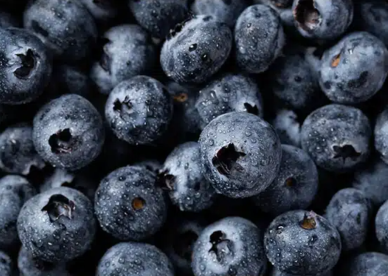 راز طول عمر در بشقاب شماست؛ این ۱۰ خوراکی را فراموش نکنید